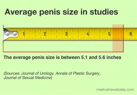 16 yr old cock|Human penis size .